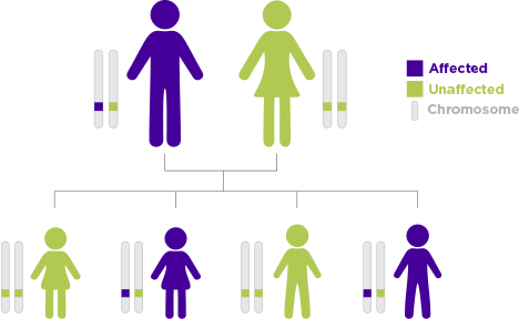 Inheriting hATTR amyloidosis