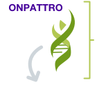 ONPATTRO® (patisiran) infusion.
